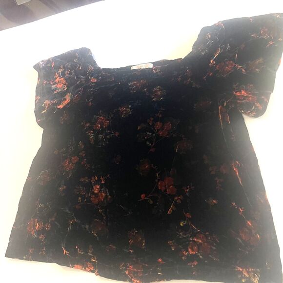 Loft Womens Velvet Floral Top Sz XL Short Sleeves Romantic Coquette Whimsigoth - Picture 1 of 15